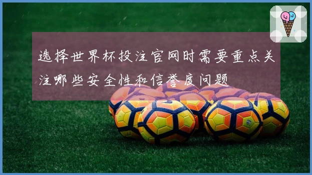 选择世界杯投注官网时需要重点关注哪些安全性和信誉度问题