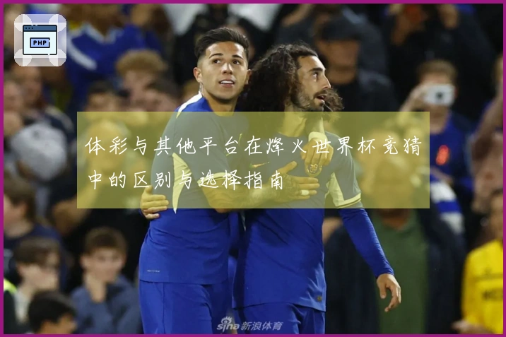 体彩与其他平台在烽火世界杯竞猜中的区别与选择指南