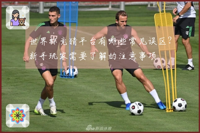 世界杯竞猜平台有哪些常见误区？新手玩家需要了解的注意事项
