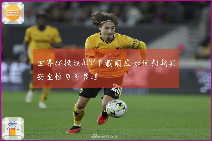 世界杯投注APP下载前应如何判断其安全性与可靠性