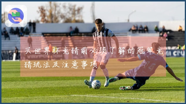 买世界杯竞猜前必须了解的冠军竞猜玩法及注意事项