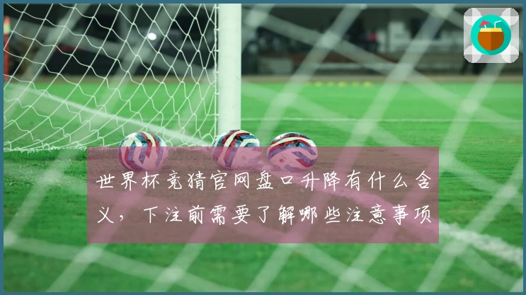 世界杯竞猜官网盘口升降有什么含义，下注前需要了解哪些注意事项？