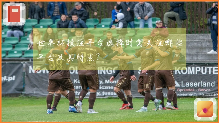 世界杯投注平台选择时需关注哪些平台及其特点？
