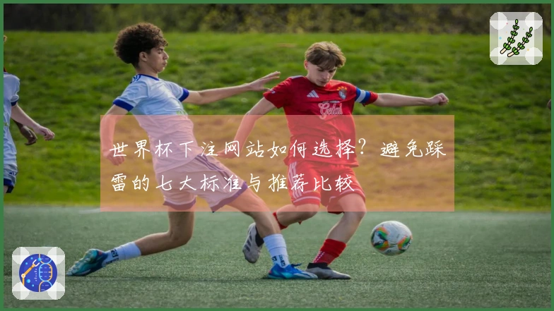 世界杯下注网站如何选择？避免踩雷的七大标准与推荐比较