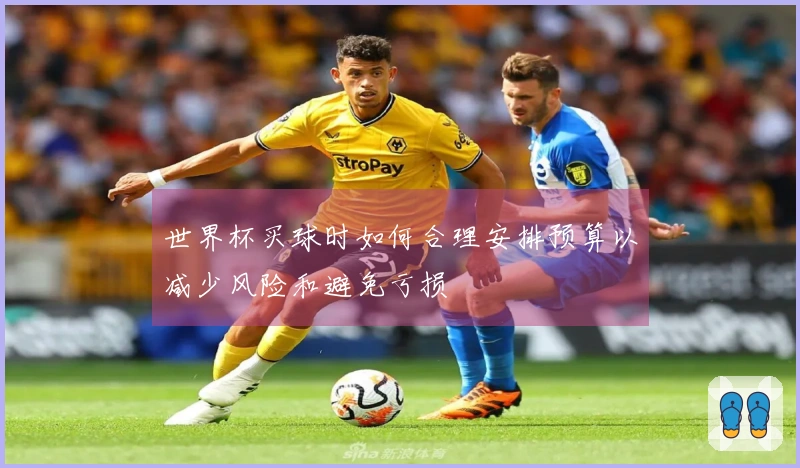 世界杯买球时如何合理安排预算以减少风险和避免亏损
