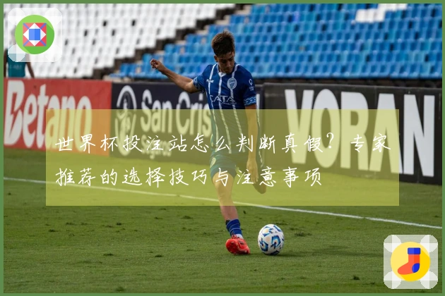 世界杯投注站怎么判断真假？专家推荐的选择技巧与注意事项