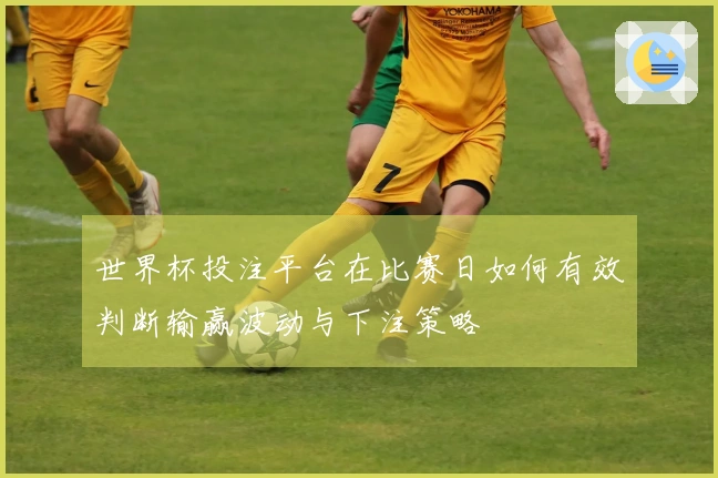 世界杯投注平台在比赛日如何有效判断输赢波动与下注策略