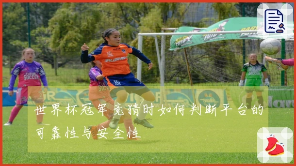 世界杯冠军竞猜时如何判断平台的可靠性与安全性