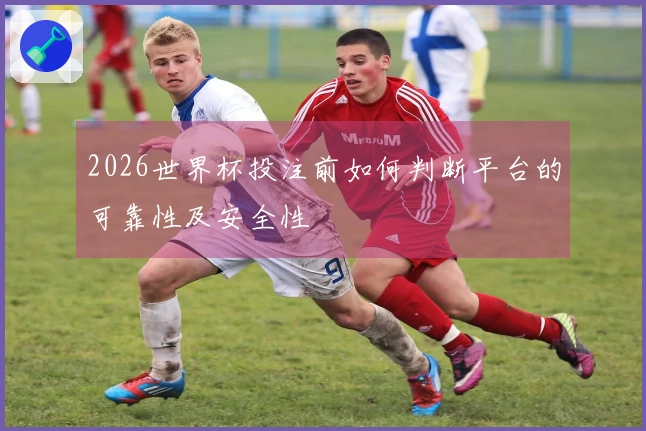 2026世界杯投注前如何判断平台的可靠性及安全性