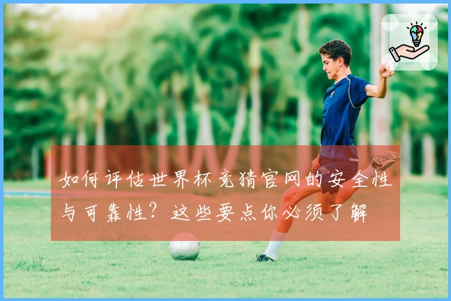 如何评估世界杯竞猜官网的安全性与可靠性？这些要点你必须了解