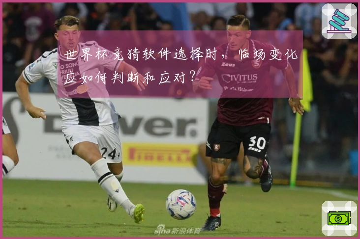 世界杯竞猜软件选择时，临场变化应如何判断和应对？