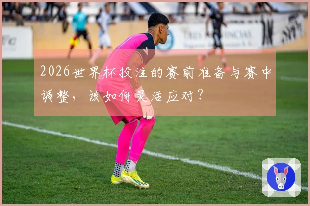 2026世界杯投注的赛前准备与赛中调整，该如何灵活应对？