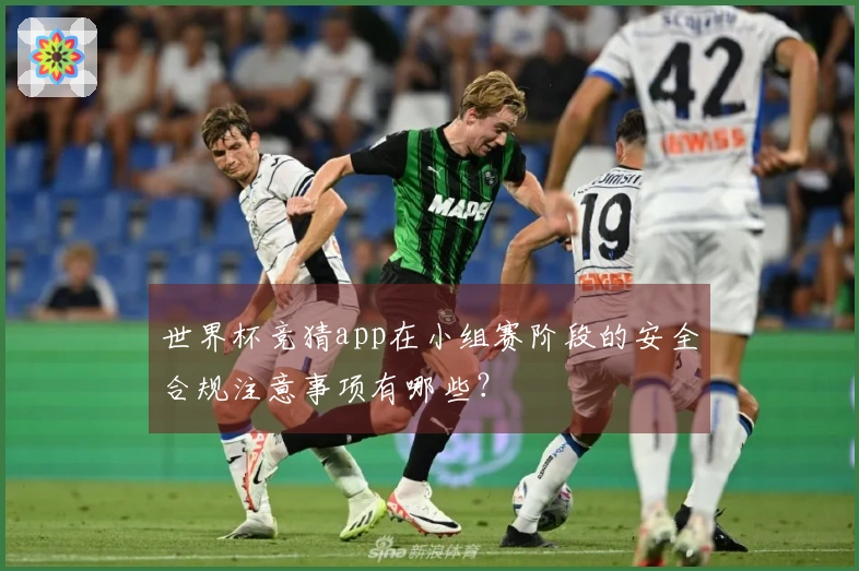 世界杯竞猜app在小组赛阶段的安全合规注意事项有哪些？