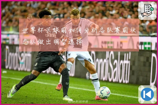 世界杯买球前如何分析各队赛前状态以做出明智选择