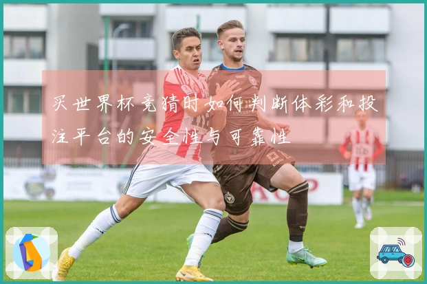 买世界杯竞猜时如何判断体彩和投注平台的安全性与可靠性
