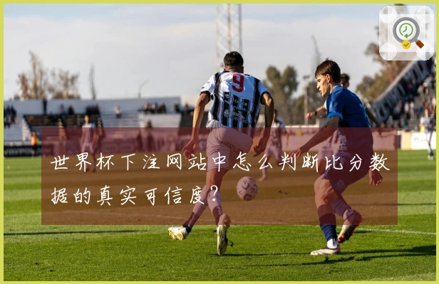世界杯下注网站中怎么判断比分数据的真实可信度？