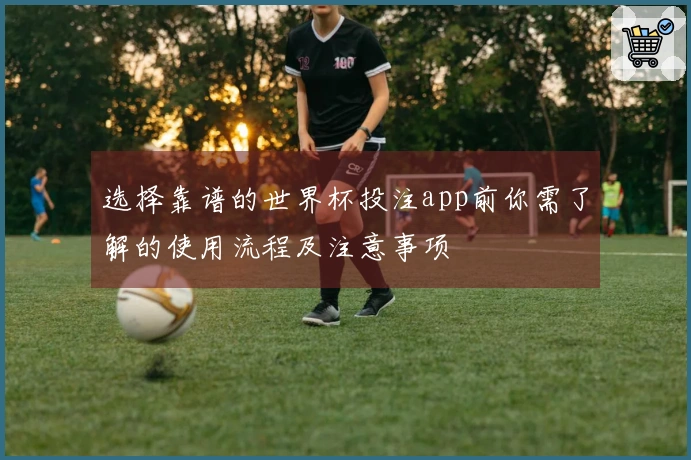 选择靠谱的世界杯投注app前你需了解的使用流程及注意事项