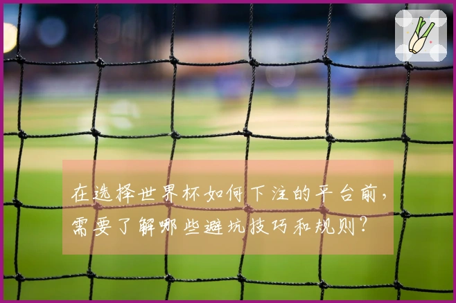 在选择世界杯如何下注的平台前，需要了解哪些避坑技巧和规则？