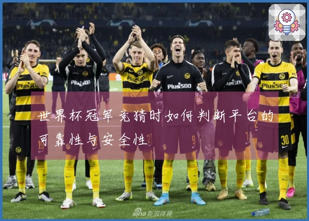 世界杯冠军竞猜时如何判断平台的可靠性与安全性