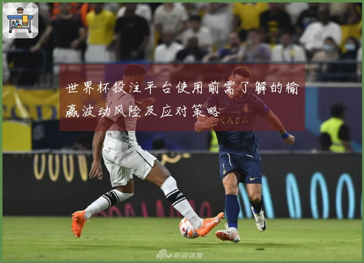 世界杯投注平台使用前需了解的输赢波动风险及应对策略