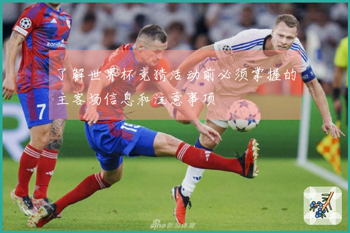 了解世界杯竞猜活动前必须掌握的主客场信息和注意事项