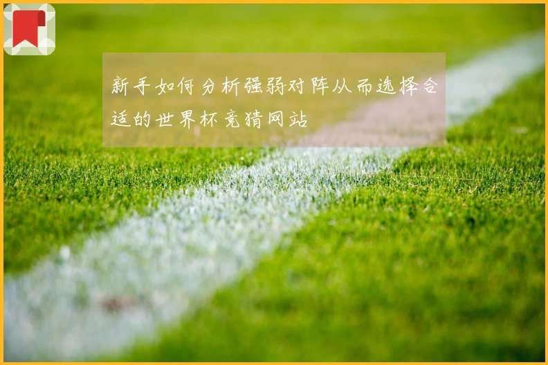 新手如何分析强弱对阵从而选择合适的世界杯竞猜网站