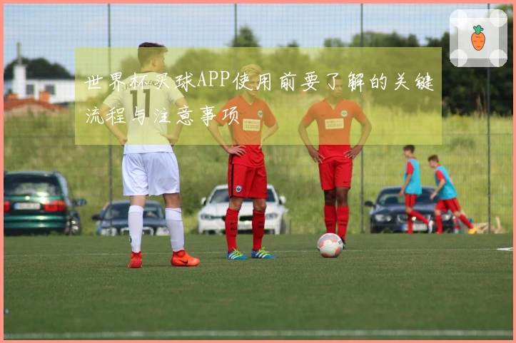 世界杯买球APP使用前要了解的关键流程与注意事项