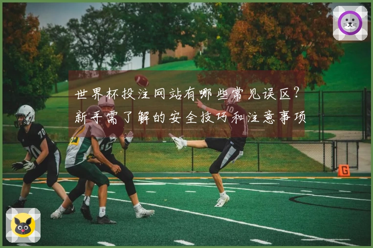 世界杯投注网站有哪些常见误区？新手需了解的安全技巧和注意事项